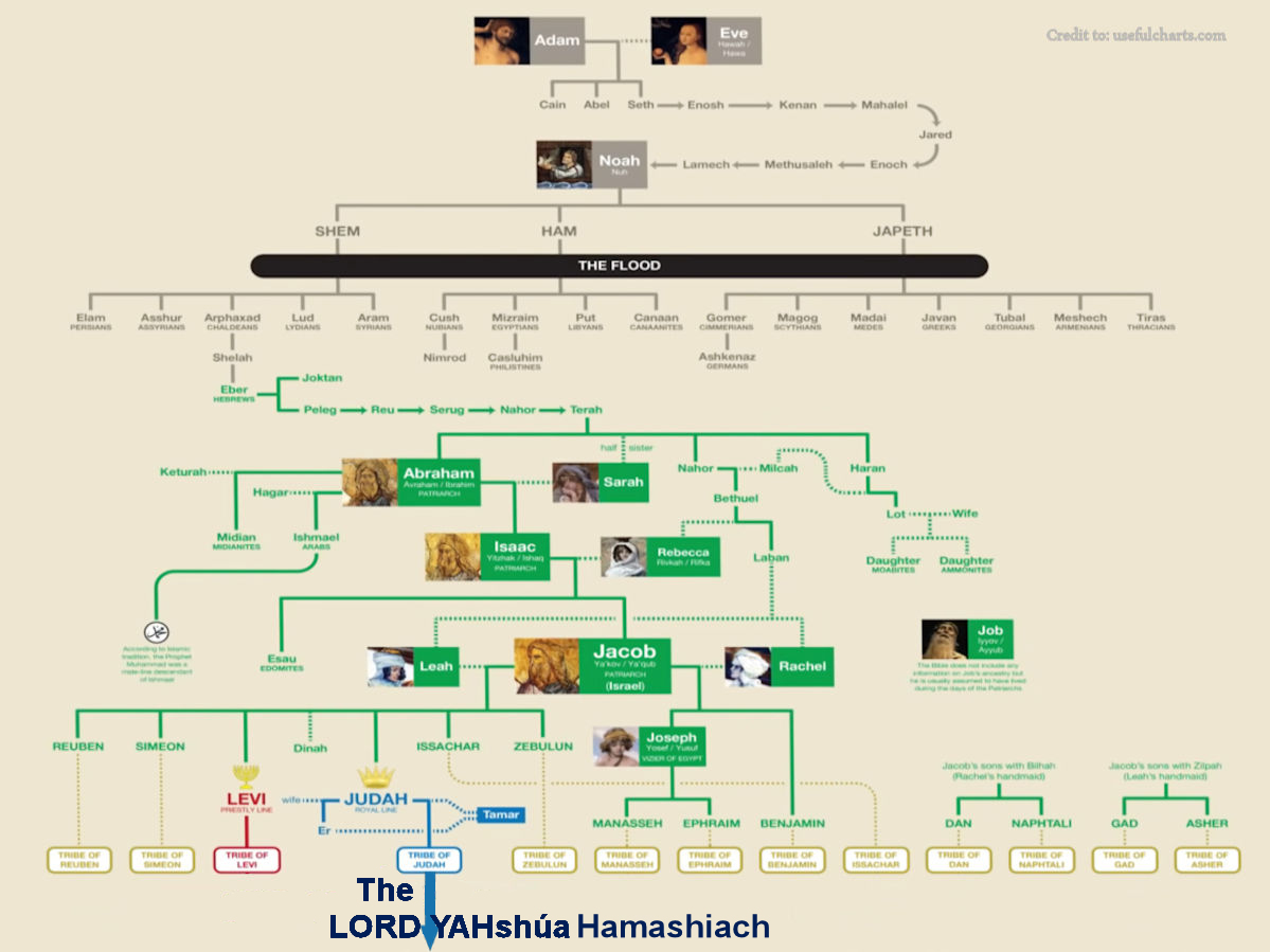 Genealogy Part 1